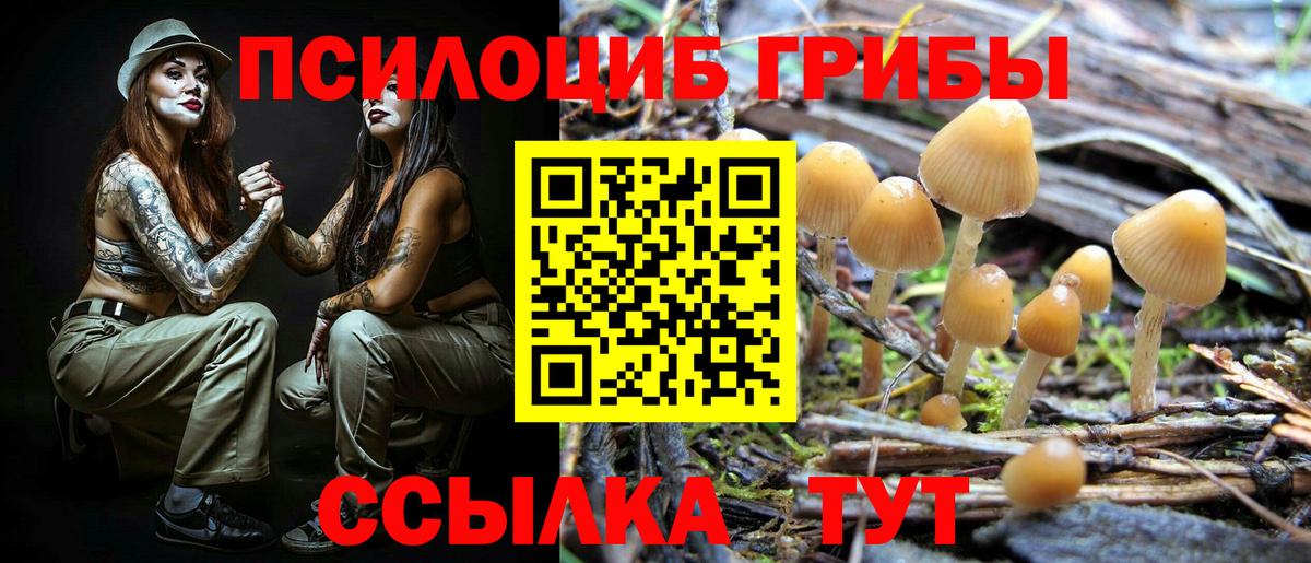 Псилоцибиновые грибы GOLDEN TEACHER  Вход с VPN  цена наркотик  Таганрог  Галлюциногенные грибы MAGIC MUSHROOMS 